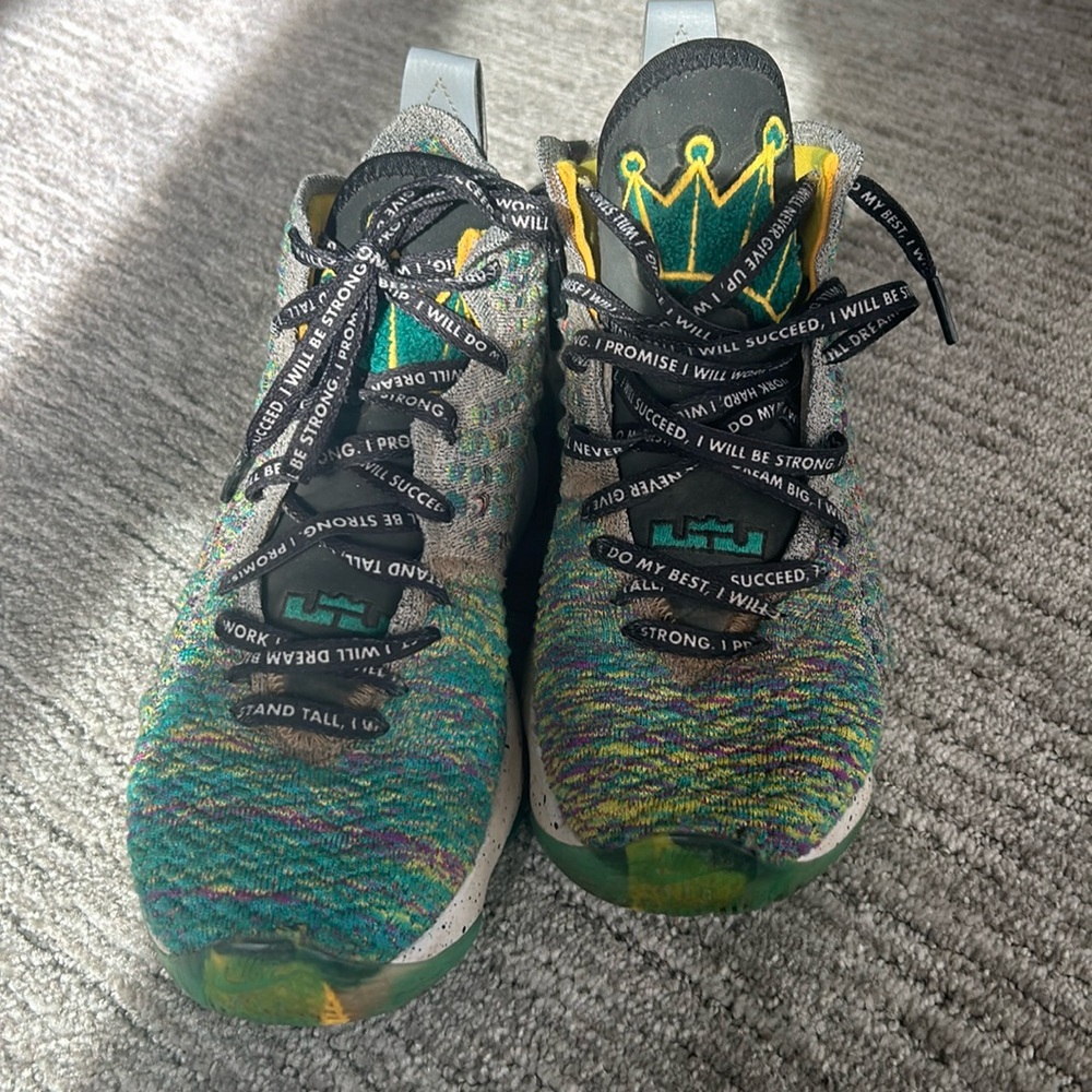 Nike Lebron 17 Promise basketball sneakers